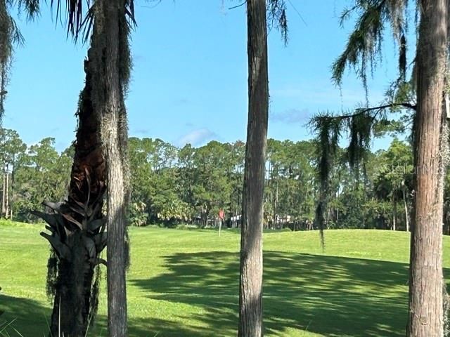 18 MOUNT VERNON LANE, Palm Coast, FL 32164