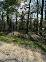 TBD Knotty-Pine, Livingston, TX 77351