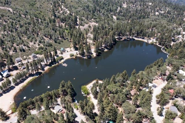 650 Dahlia, Green Valley Lake, CA 92341