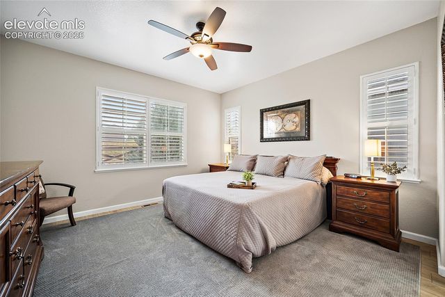 7938 Silver Birch Drive, Colorado Springs, CO 80927