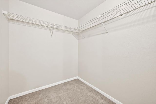 1515 Sandy Springs Road 3001, Houston, TX 77042