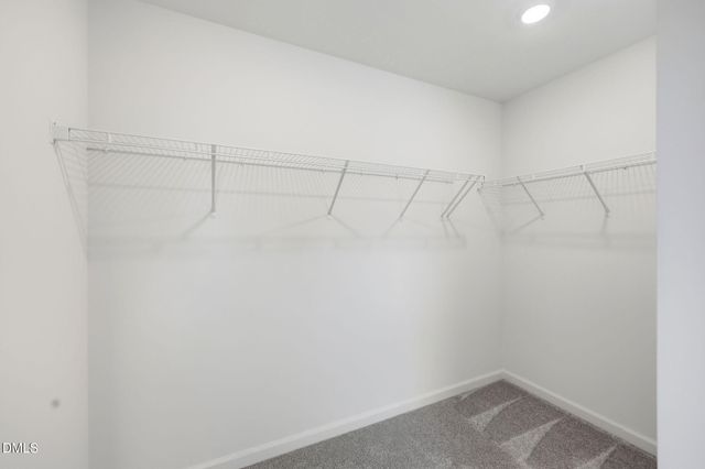 2732 Princess Tree Drive, Raleigh, NC 27616