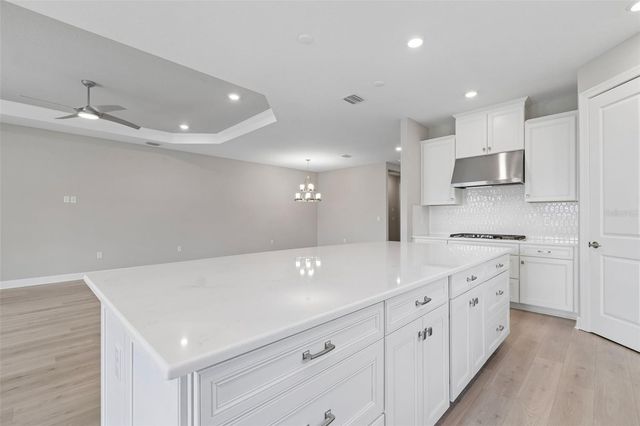 4292 GRATICOLA ROAD, Wesley Chapel, FL 33543