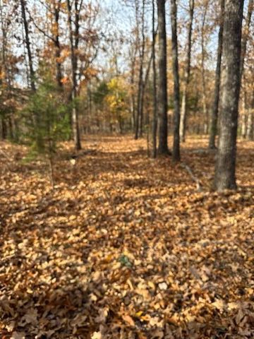 277 Plad Road, Windyville, MO 65783