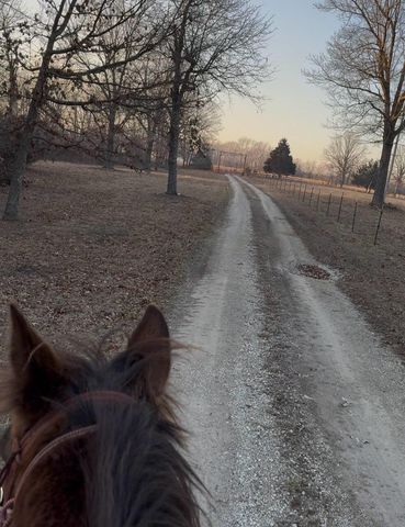 277 Plad Road, Windyville, MO 65783