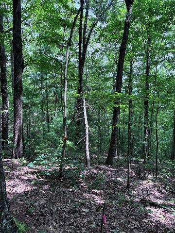 829 Morton Drive, Ellijay, GA 30540