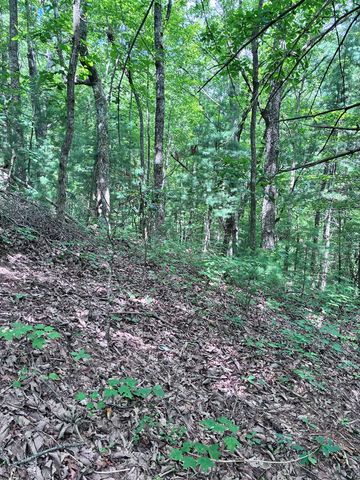 829 Morton Drive, Ellijay, GA 30540