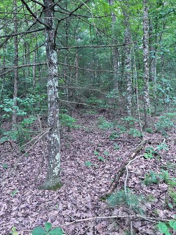 829 Morton Drive, Ellijay, GA 30540