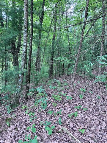829 Morton Drive, Ellijay, GA 30540