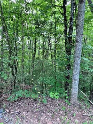 829 Morton Drive, Ellijay, GA 30540