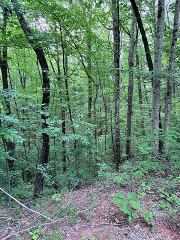 829 Morton Drive, Ellijay, GA 30540