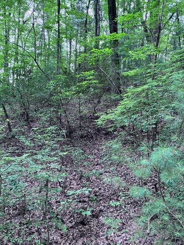 829 Morton Drive, Ellijay, GA 30540