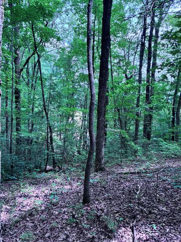 829 Morton Drive, Ellijay, GA 30540
