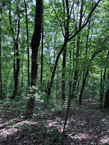 829 Morton Drive, Ellijay, GA 30540