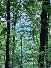 829 Morton Drive, Ellijay, GA 30540