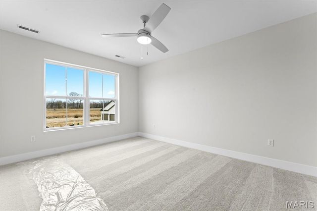 809 Golden Bell Lane, O'fallon, IL 62269