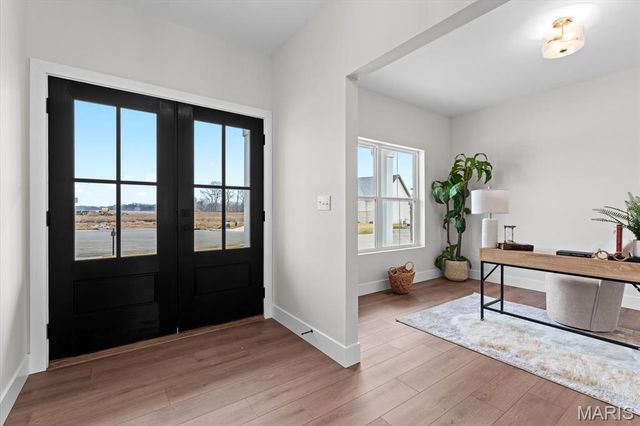 809 Golden Bell Lane, O'fallon, IL 62269