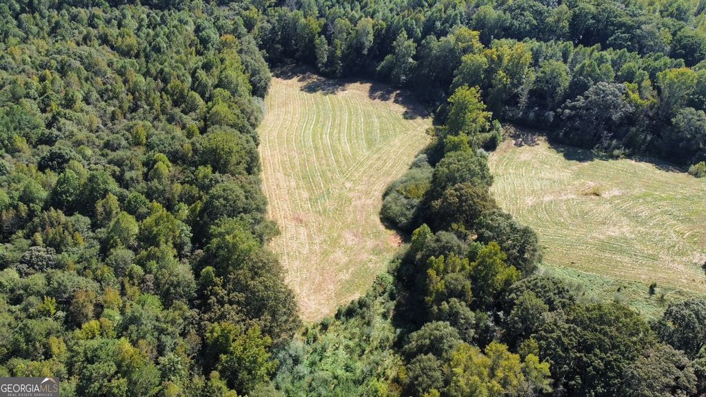 0 Anderson - Thomas Road, Martin, GA 30557 — photo 5