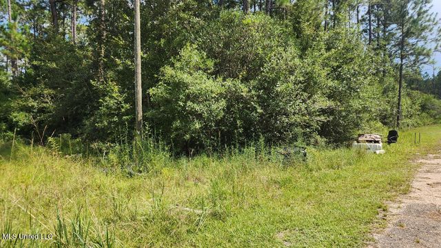 26094 Rainbow Drive, Perkinston, MS 39573