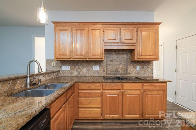5238 Downing Creek Drive, Charlotte, NC 28269