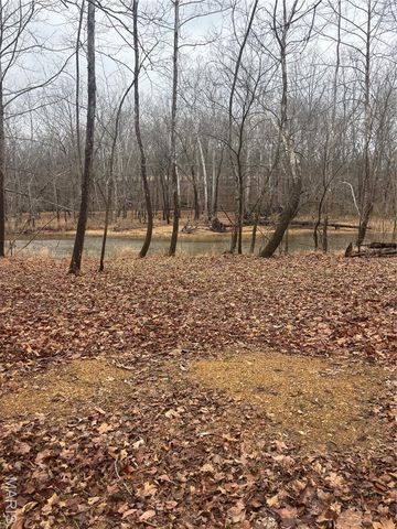 3 Madison 320, Fredericktown, MO 63655