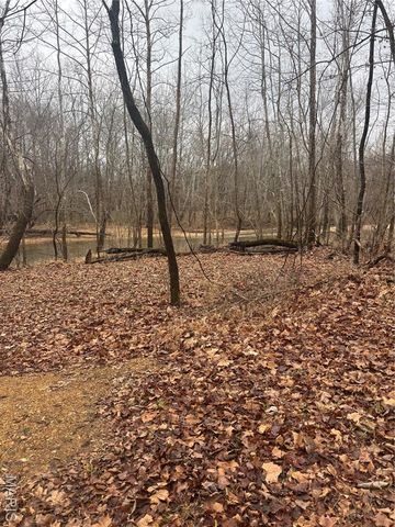 3 Madison 320, Fredericktown, MO 63655