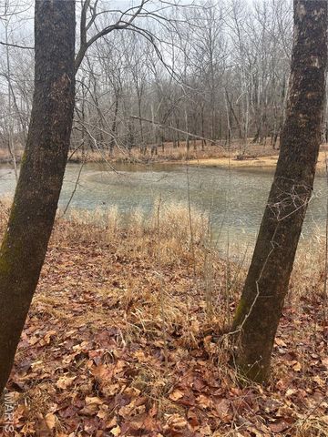 3 Madison 320, Fredericktown, MO 63655