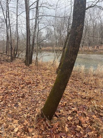 3 Madison 320, Fredericktown, MO 63655