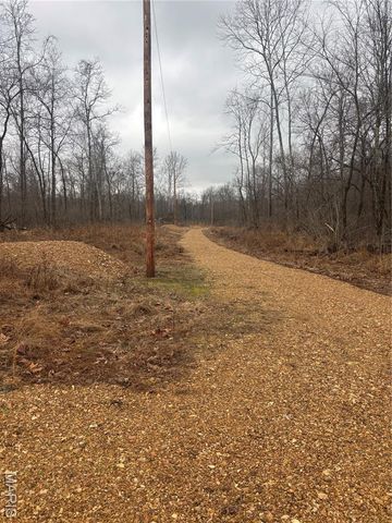 3 Madison 320, Fredericktown, MO 63655