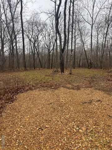 3 Madison 320, Fredericktown, MO 63655