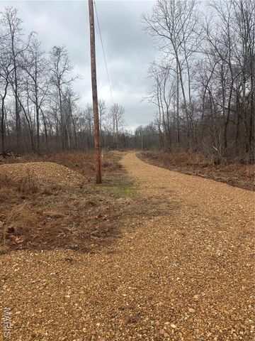 3 Madison 320, Fredericktown, MO 63655