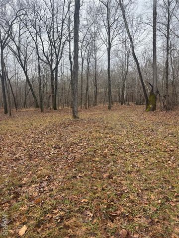 3 Madison 320, Fredericktown, MO 63655