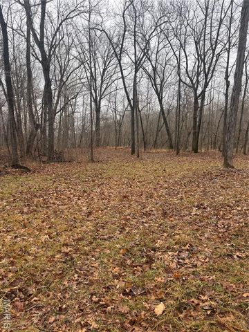 3 Madison 320, Fredericktown, MO 63655