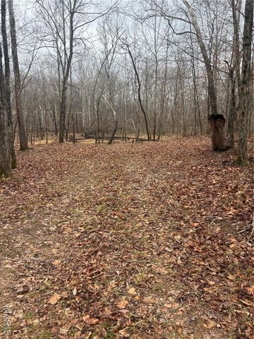 3 Madison 320, Fredericktown, MO 63655