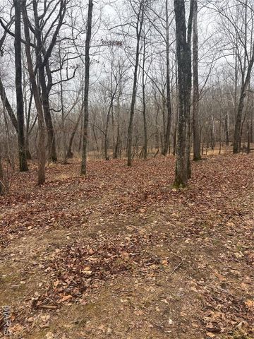 3 Madison 320, Fredericktown, MO 63655