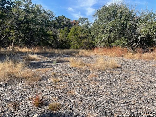 426 Coneflower Dr, Spring Branch, TX 78070