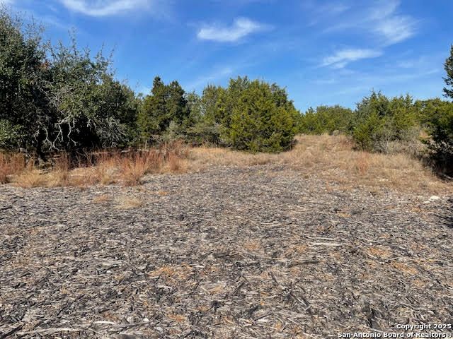 426 Coneflower Dr, Spring Branch, TX 78070