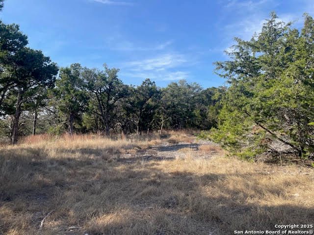 426 Coneflower Dr, Spring Branch, TX 78070