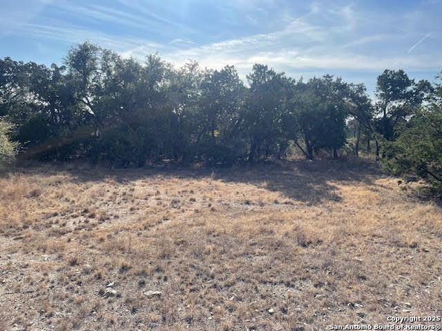 426 Coneflower Dr, Spring Branch, TX 78070