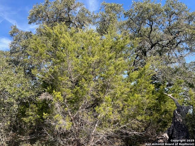 426 Coneflower Dr, Spring Branch, TX 78070