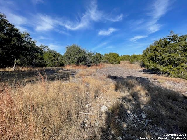 426 Coneflower Dr, Spring Branch, TX 78070