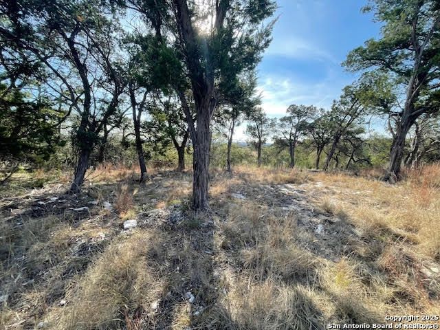 426 Coneflower Dr, Spring Branch, TX 78070