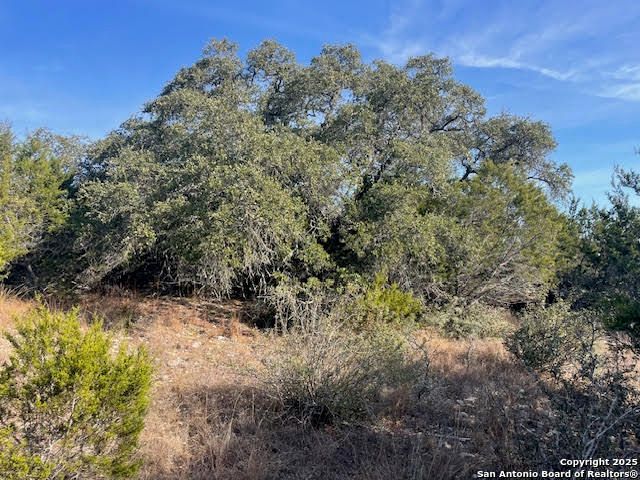 426 Coneflower Dr, Spring Branch, TX 78070