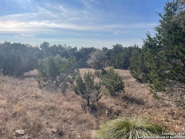 426 Coneflower Dr, Spring Branch, TX 78070