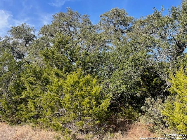 426 Coneflower Dr, Spring Branch, TX 78070