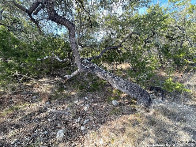 426 Coneflower Dr, Spring Branch, TX 78070