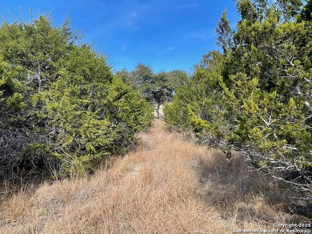 426 Coneflower Dr, Spring Branch, TX 78070