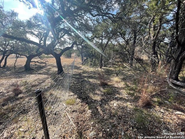 426 Coneflower Dr, Spring Branch, TX 78070