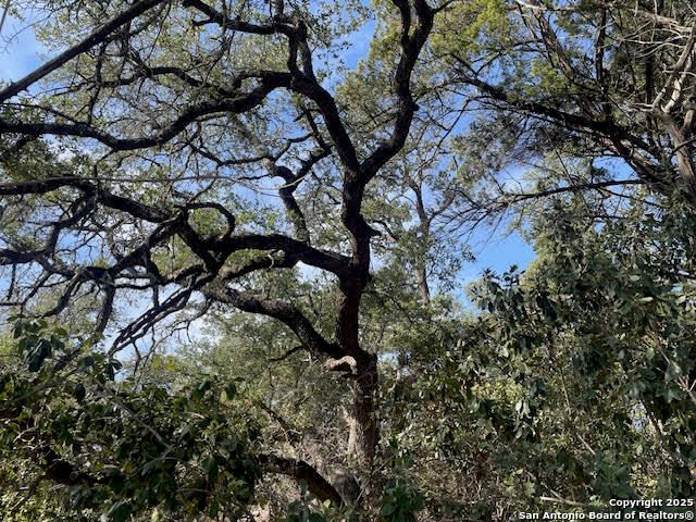 426 Coneflower Dr, Spring Branch, TX 78070