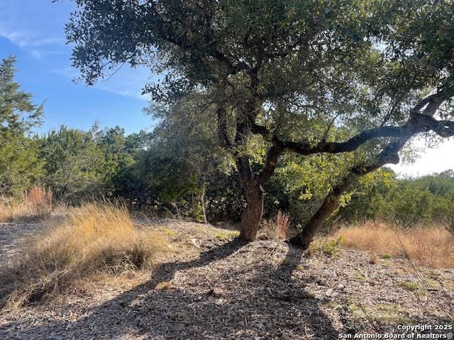 426 Coneflower Dr, Spring Branch, TX 78070